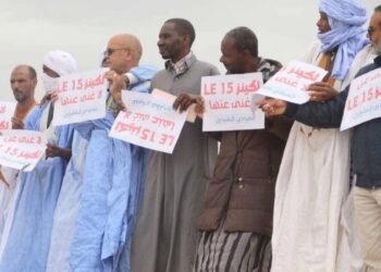 الصيد التقليدي وقضية 15يوما